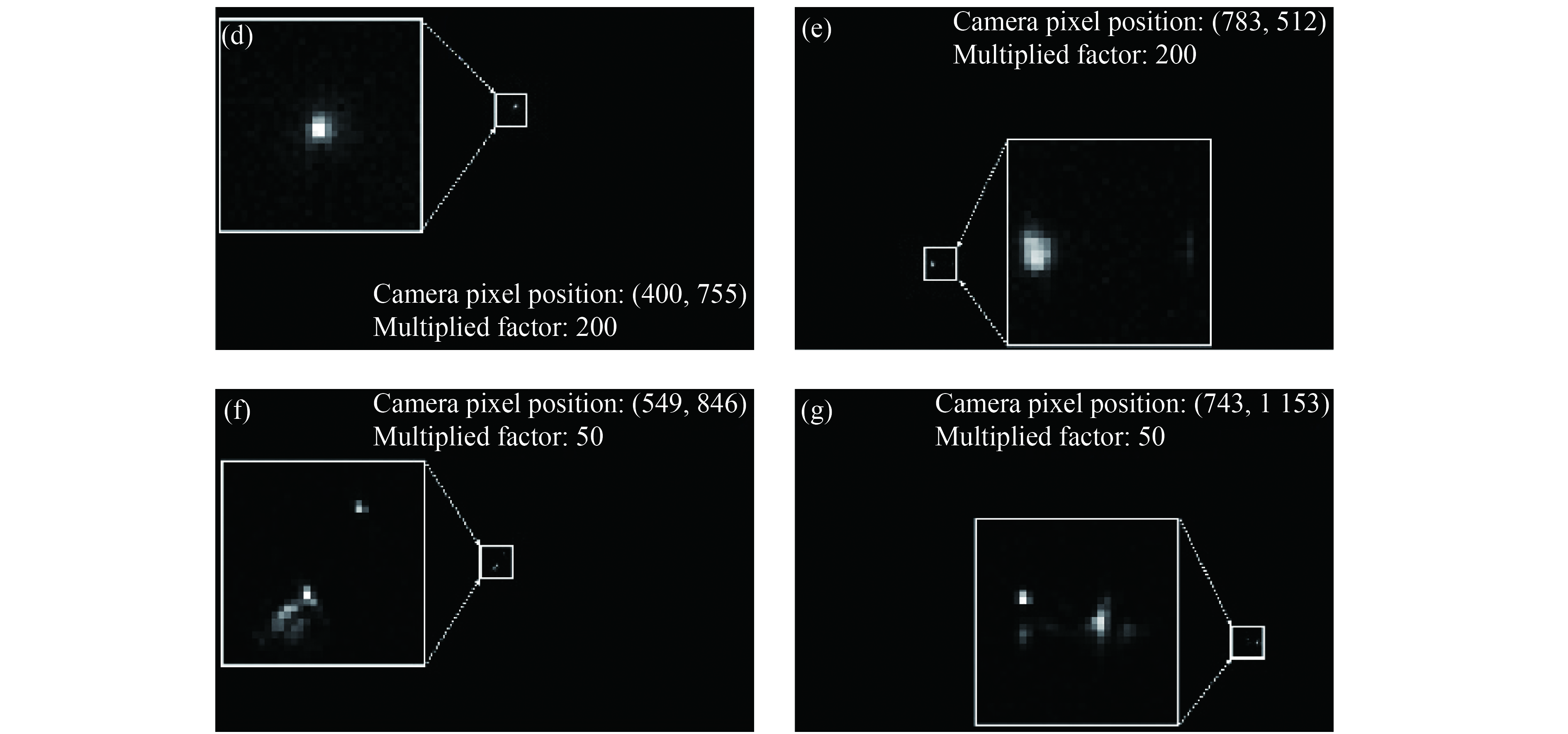 The reconstructed images of single pixel imaging method for the compound scenes; (a) the measured scenes; (b) reconstructed single-pixel imaging result of a point on the abdomen of the bear; (c) reconstructed single-pixel imaging result of a point on the onion; (d) reconstructed single-pixel imaging result of a point on the white gourd; (e) reconstructed single-pixel imaging result of a point on the turbine blade; (f) reconstructed single-pixel imaging result of the second point on the turbine blade; (g) reconstruction single-pixel imaging result of a point on the metal parts