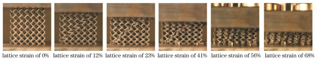 晶格结构的抗挤压实验