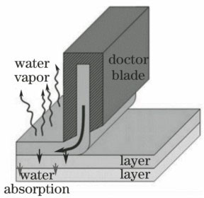 沉积层干燥机制