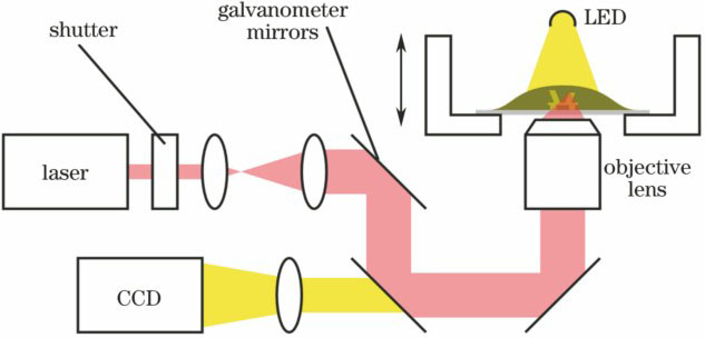 双光子聚合示意图