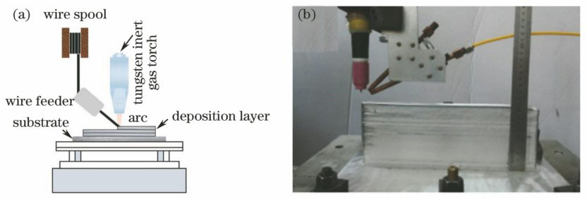 (a) WAAM示意图;(b) WAAM试样