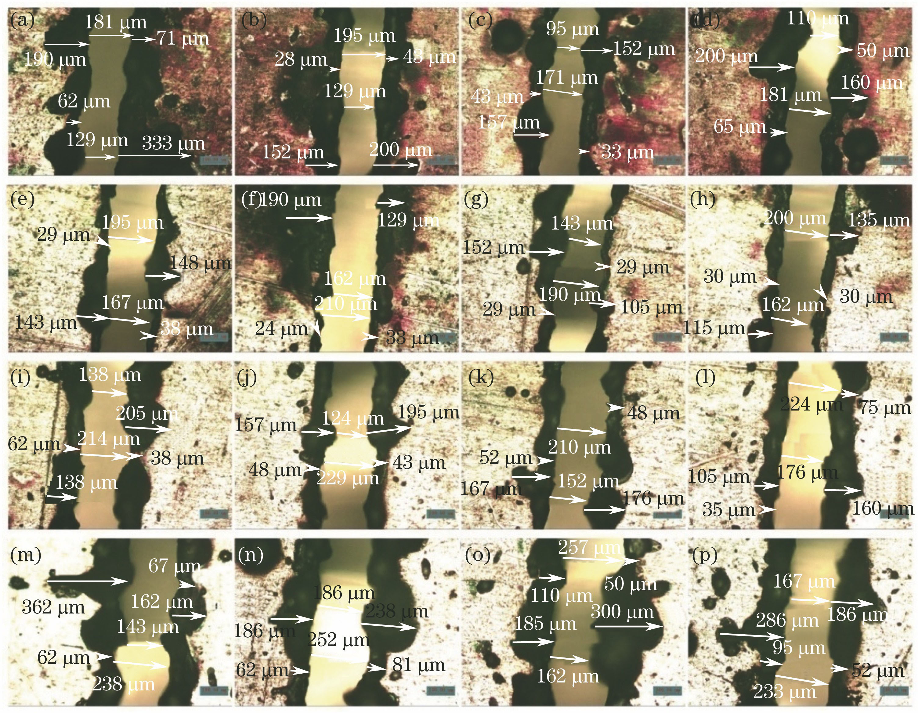 17~20号样本的4次取样图。(a) 17号1次样本;(b) 17号2次样本;(c) 17号3次样本;(d) 17号4次样本;(e) 18号1次样本;(f) 18号2次样本;(g) 18号3次样本;(h) 18号4次样本;(i) 19号1次样本;(j) 19号2次样本;(k) 19号3次样本;(l) 19号4次样本;(m) 20号1次样本;(n) 20号2次样本;(o) 20号3次样本;(p) 20号4次样本