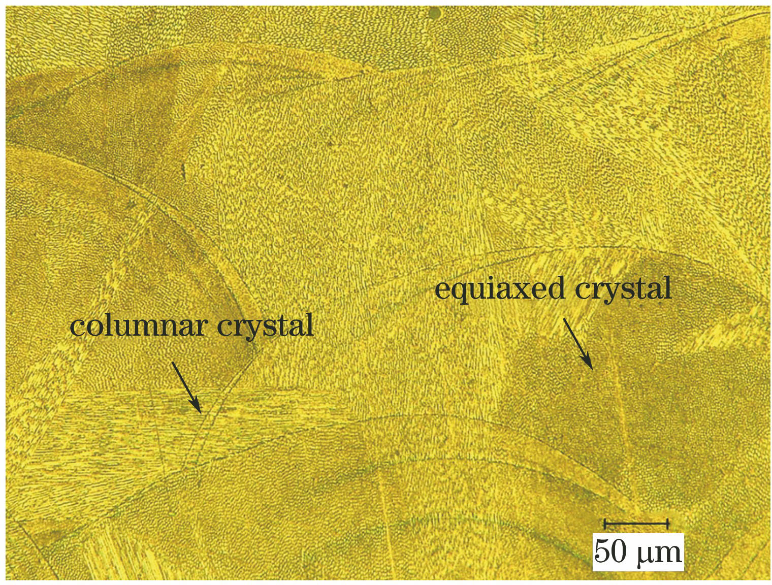 曝光时间为140 μs时样件的微观组织