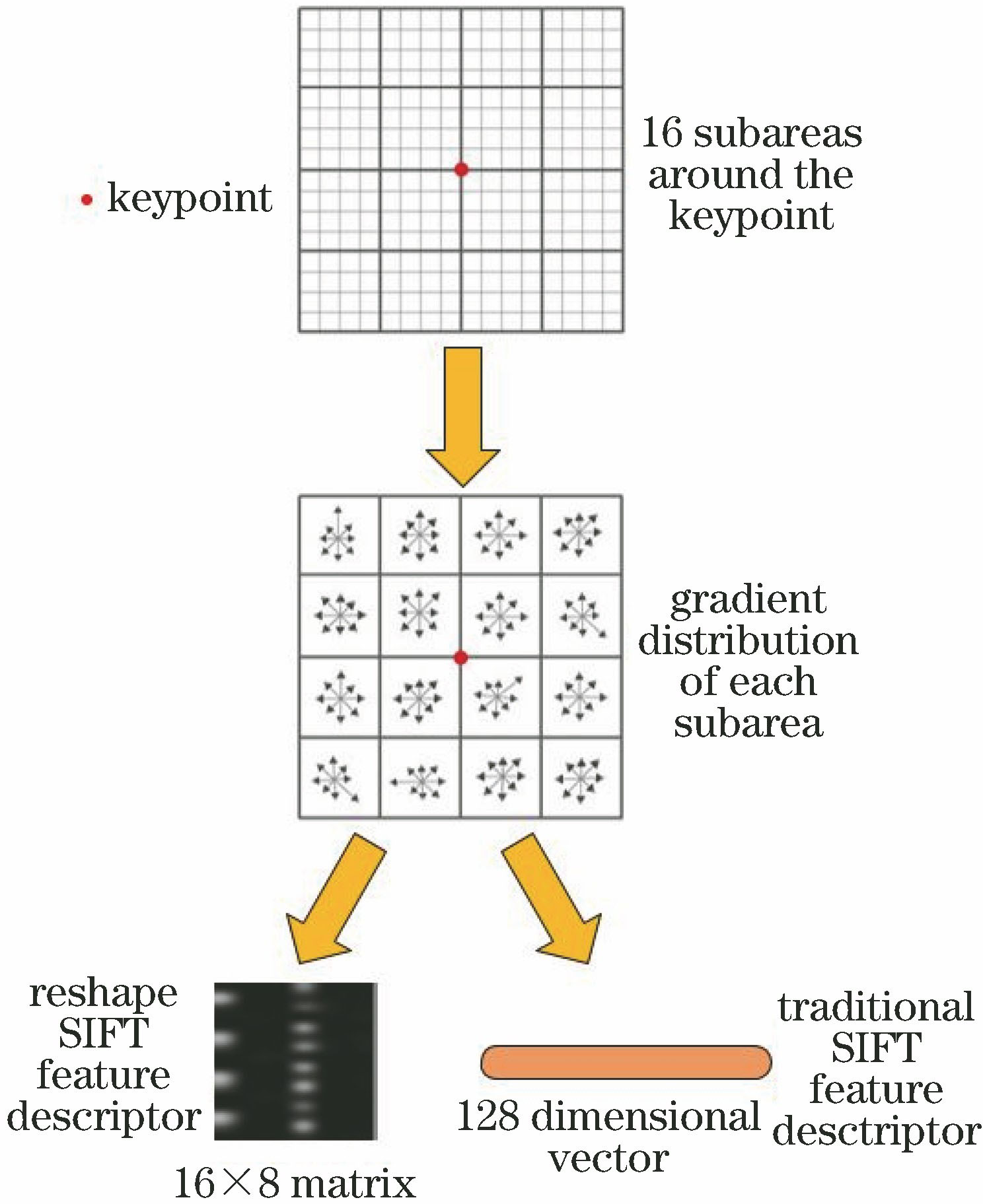 基于卷积神经网络的SIFT特征描述子降维方法
