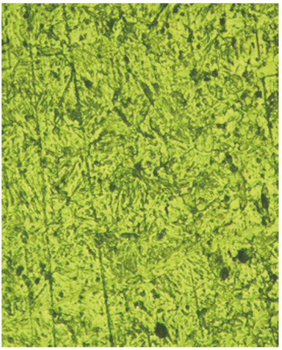 单熔道截面金相图