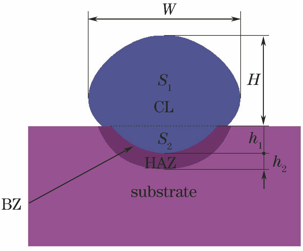 单道熔覆层横截面示意图