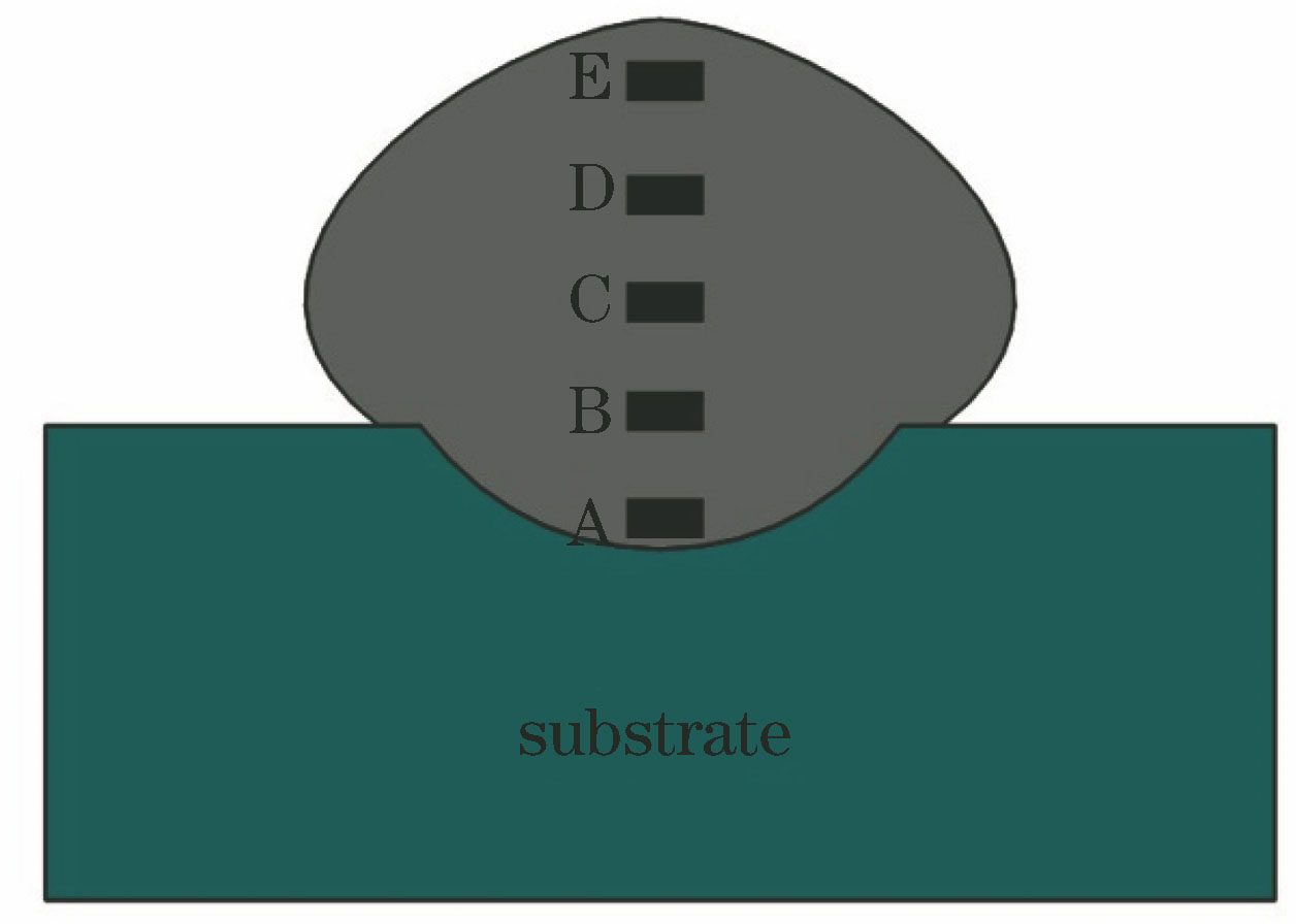 能谱分析位置示意图