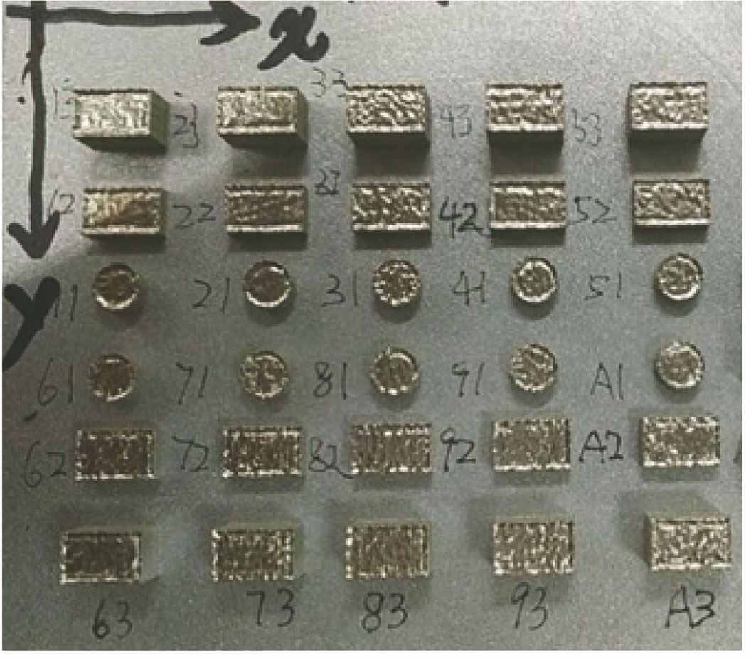 SLM成形试样(在基板上)