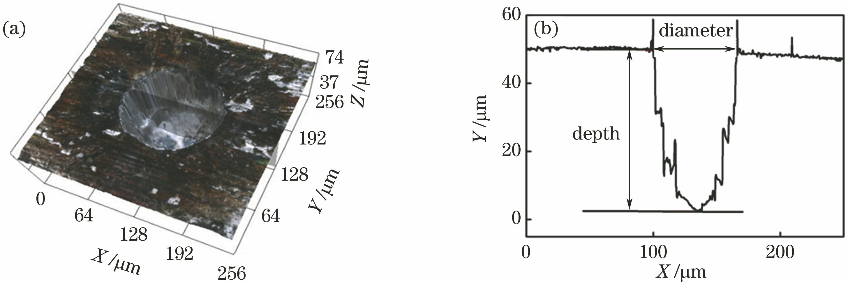 微坑的几何形貌表征。(a)表面形貌;(b)截面轮廓