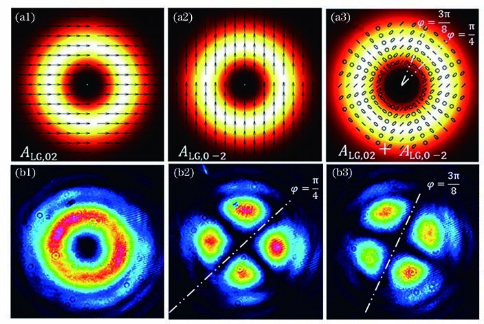 涡旋光束非相干叠加后光场理论偏振分布和实验检偏图像。(a1)水平偏振;(a2)竖直偏振;(a3)合束光斑;(b1)实验合束光斑;(b2) 45°检偏;(b3)圆检偏