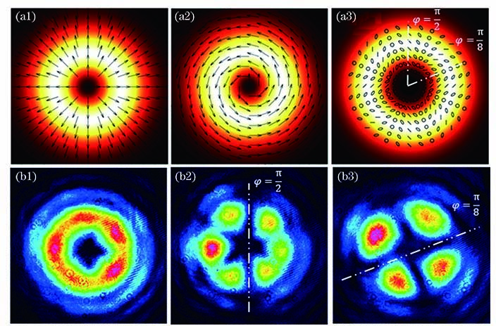 矢量涡旋光束叠加后的光场理论偏振分布及实验检偏图像。(a1) l1=2,m1=1,φ0=0;(a2) l2=-2,m2=1,φ0=π/2;(a3)合束光斑;(b1)实验合束光斑;(b2)45°检偏;(b3)圆检偏
