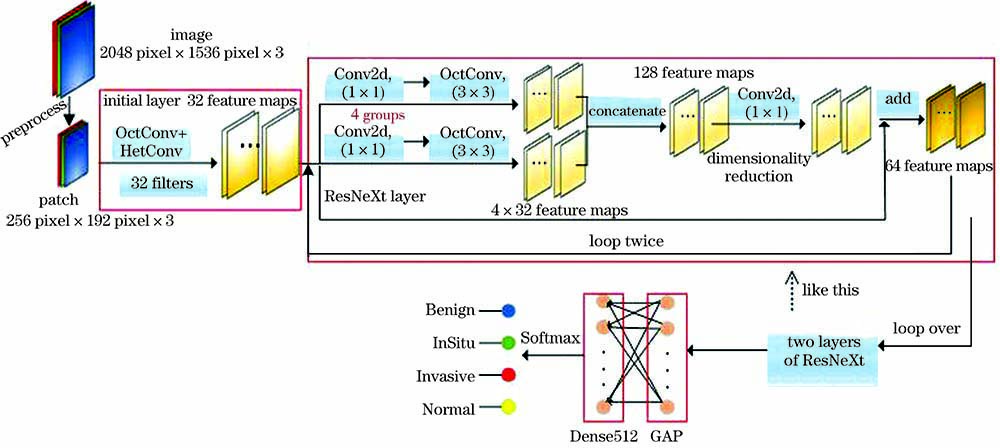 基于改进ResNeXt的乳腺癌组织病理学图像分类