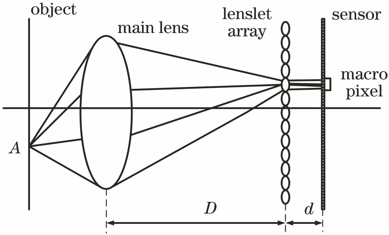 光场成像原理示意图