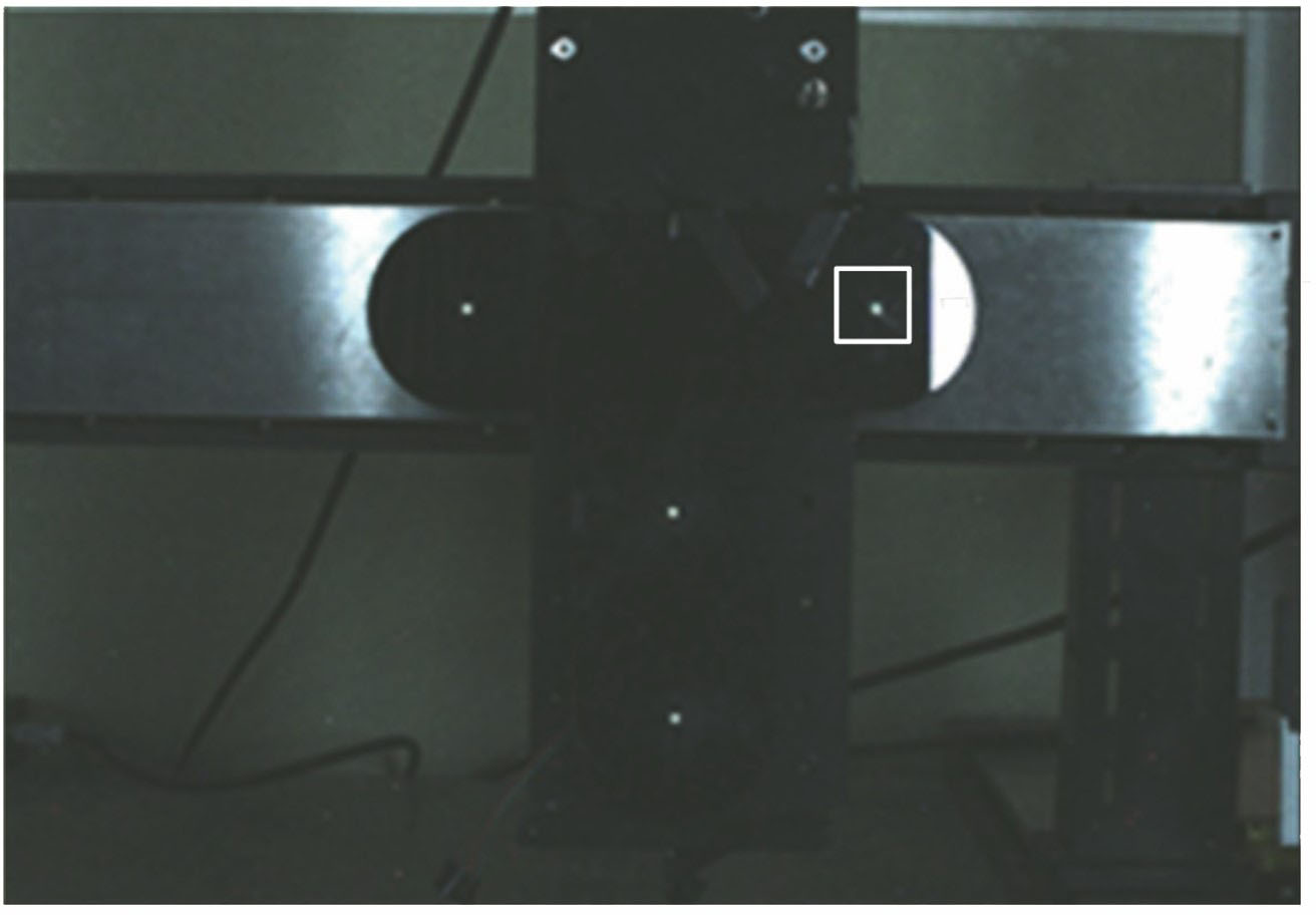 全部窗口光场图像