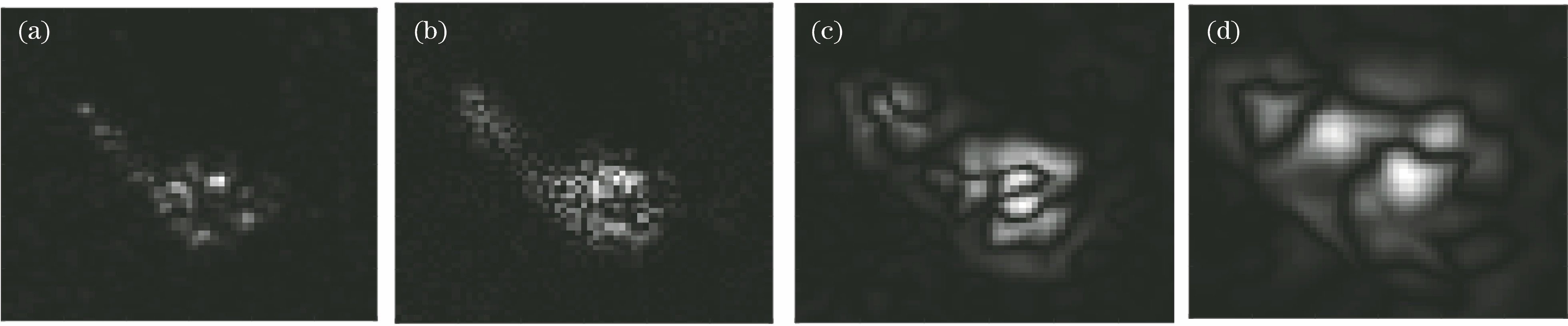 基于二维经验模态分解的合成孔径雷达目标识别方法