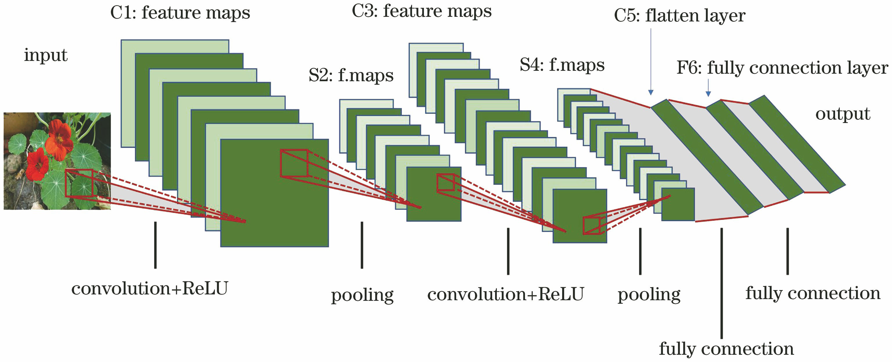 基于有效区域筛选的复杂背景植物图像识别方法