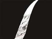 耳板表面的点云数据