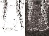 增强算子的效果图。(a)原始图像;(b)增强算子处理后的图像