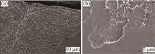 熔覆层的裂纹形貌。(a)边缘;(b)结合区
