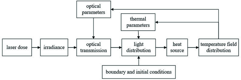 生物组织光热效应的动态分析模型