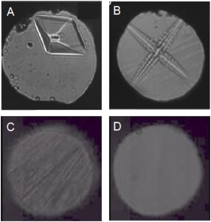 Various ice crystals, stable and metastable, formed along different thermal and kinetic path under rapidly modulating pressures using dynamic-DAC, including (a) single crystal ice VI (b) dendritic ice VI (c) metastable ice VII produced in the stability field of ice VI, and (d) high density amorphous (HDA) ice produced in no man’s land.