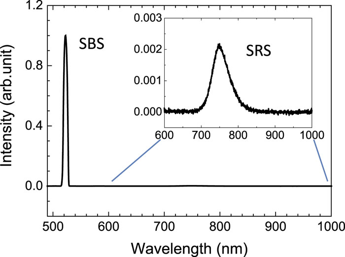 Typical lateral LPI spectral information, as measured by lateral optical fiber probe, containing a strong SBS peak and a very weak SRS signal. The corresponding detection angle was 25°.