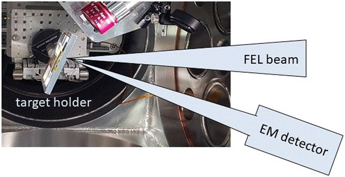 Experimental setup of the ion experiment at FLASH2. The FEL beam hits the target from the right at a 22.5° angle. Ions are detected along the target normal with an open electron multiplier located 24 cm from the target.