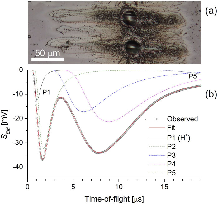 (a) Ablative imprints in GaAs and (b) TOF spectrum of ions emitted by the GaAs target irradiated with energy 100 µJ (2.7 × 1013 W/cm2).