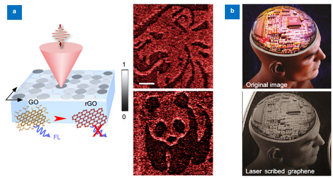 (a) Retrieved fluorescence image of two patterns recorded through two-photon photoreduction in two layers in GO-polymer sample separated by a spacing of 20 μm. The scale bar is 10 μm14. (b) A complex grayscale photograph patterned through LightScribe methods35.
