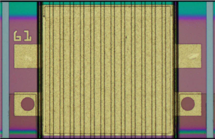 Microscope image of the 13-channel arrayed LD.