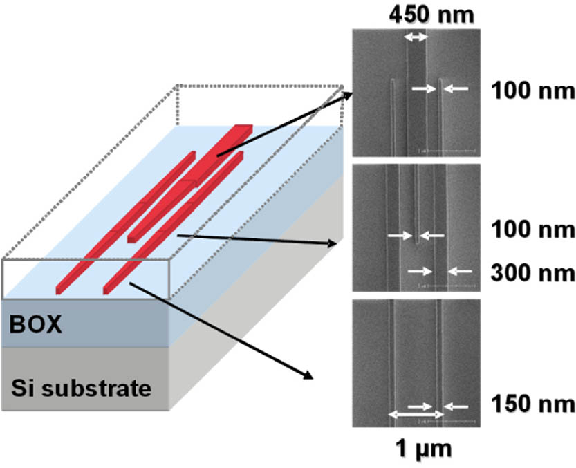 Schematic structure and SEM images of the trident SSC.