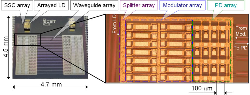 Fabricated silicon optical interposer.