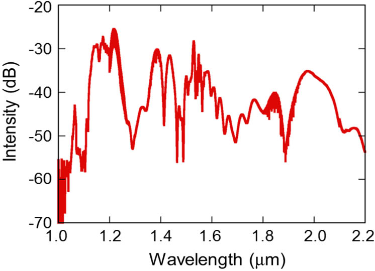 Observed optical spectrum of generated SC in PM-HN-DSF.
