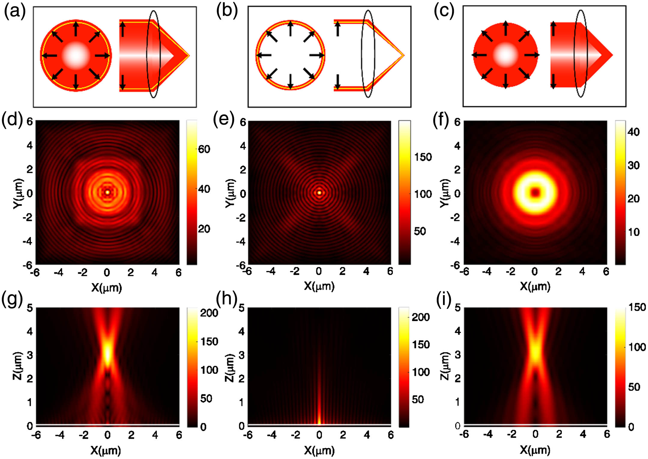 Calculated electric field intensities at the gold–water interface for focused RPB and PRPB. (a), (b), (c) Cross-section distribution and focused state for RPB, PRPB and RPB with no SPP excitation mode. (d), (g) Electric field intensities at the gold–water interface (horizontal x-y plane) and in the x-z plane for RPB. (e), (h) Electric field intensities at the gold–water interface (x-y plane) and in the x-z plane for the PRPB. (f), (i) Electric field intensities at the gold–water interface (x-y plane) and in the x-z plane for the RPB with no SPP excitation mode. The white lines in the bottom of (g), (h), and (i) indicate the gold–water interface.