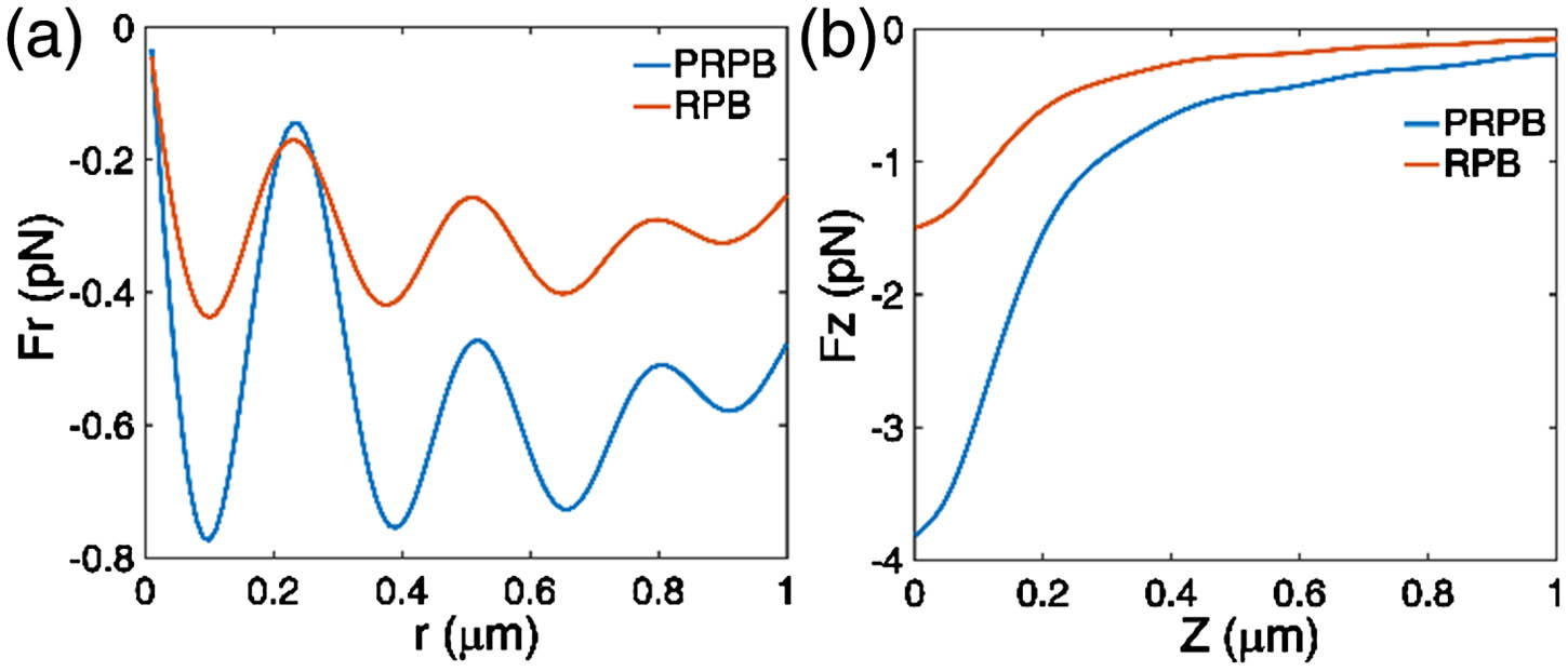 Calculated force distributions at the gold–water interface for the focused RPB and PRPB. (a) Distributing curve of force for gold particles in the radial direction with the RPB and PRPB. (b) Distributing curve of force for gold particles in axial direction with the RPB and PRPB.