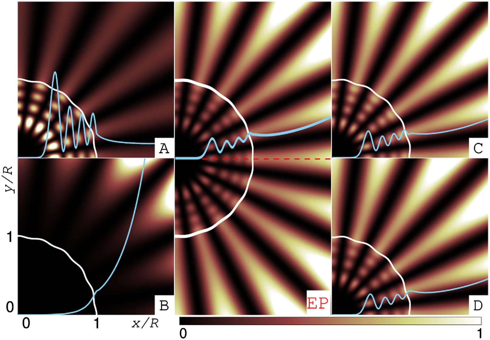 Intensity mode pattern |ψ(x,y)|2 in the microflower cavity corresponding to the marked points in Fig. 6 with the same labels. The white corrugated circular and sky-blue oscillating curves, superimposed on the figures, are the cavity boundaries and |ψ(x,0)|2, respectively. The red dashed horizontal line in the middle panel is the x axis.