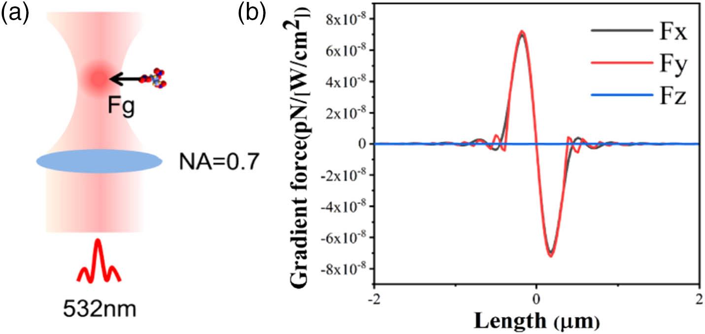 (a) Schematic diagram of classical optical tweezers formed by a tightly focused Gaussian laser beam trapping a molecule. (b) Calculated optical gradient forces component in the x-axis, y-axis, and z-axis directions in the xy plane of the focus point.