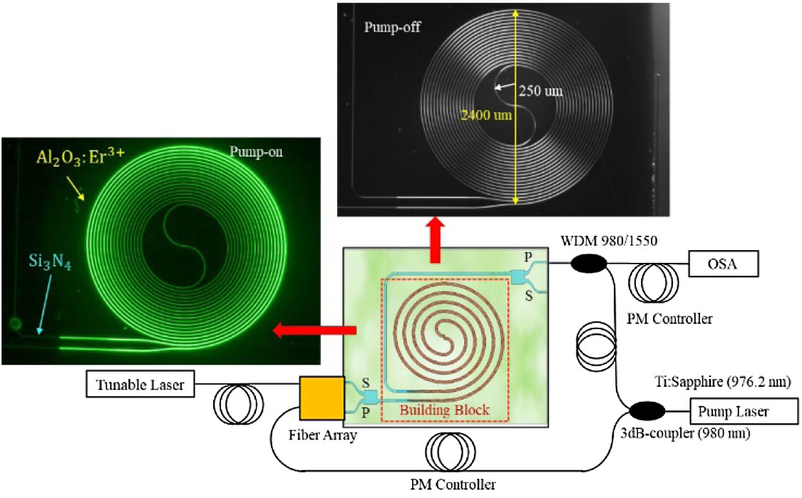 Experimental setup utilized for the measurement of the net gain on the Al2O3:Er3+-Si3N4 integrated spiral amplifier. The pump light, at 976.2 nm, is split by a 3 dB coupler (operating wavelength 980 nm) and injected into the amplifier chip from both the input and output sides via MMI multi/demultiplexers. The signal, from a tunable laser operating in the C-band, is injected from the left and collected on the right side and directed to the optical spectrum analyzer. The photographs represent the integrated spiral amplifier in the pump-on and pump-off cases. The pitch between adjacent loops of the Al2O3:Er3+ spiral is 40 μm.