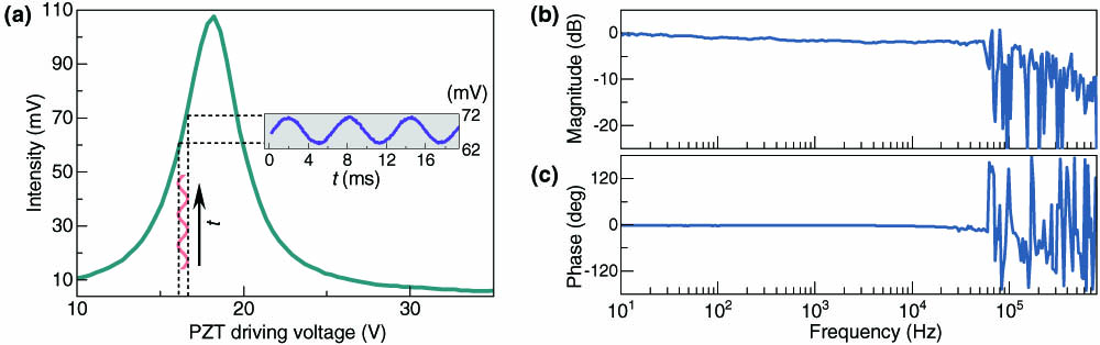 Mechanical bandwidth of the laser device by measuring the driving response. (a) The envelope of the transmission spectrum in green and the spectrum response driven by the small sinusoidal signal. (b) Frequency response diagram of the assembled laser device. From both magnitude and phase variations, the first direct resonance is indicated at 60 kHz.