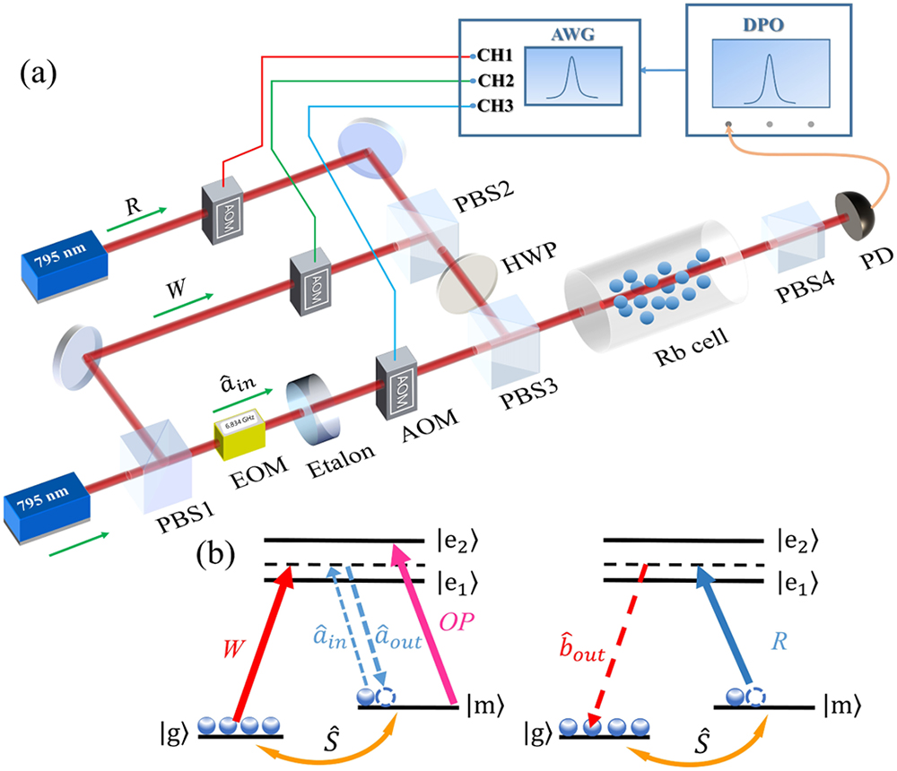(a) Schematic of the experimental setup. PBS, polarized beam splitter; HWP, half-wave plate; EOM, electro-optic modulator; AOM, acousto-optic modulator; PD, photodetector; AWG, arbitrary wave generator; DPO, digital phosphor oscilloscope. (b) Energy levels of the Rb87 atom and the frequencies of the lasers: |g,m⟩, hyperfine levels |52S1/2,F=1,F=2⟩; |e1,e2⟩, hyperfine levels |52P1/2,F=2⟩ and |52P3/2⟩; W, the Raman pump field; a^in, the initial input Stokes seed; a^out, the output Stokes field via SRS; OP, the optical pumping; S^, the atomic spin wave; R, the read field; b^out, the output anti-Stokes field by the reading process.