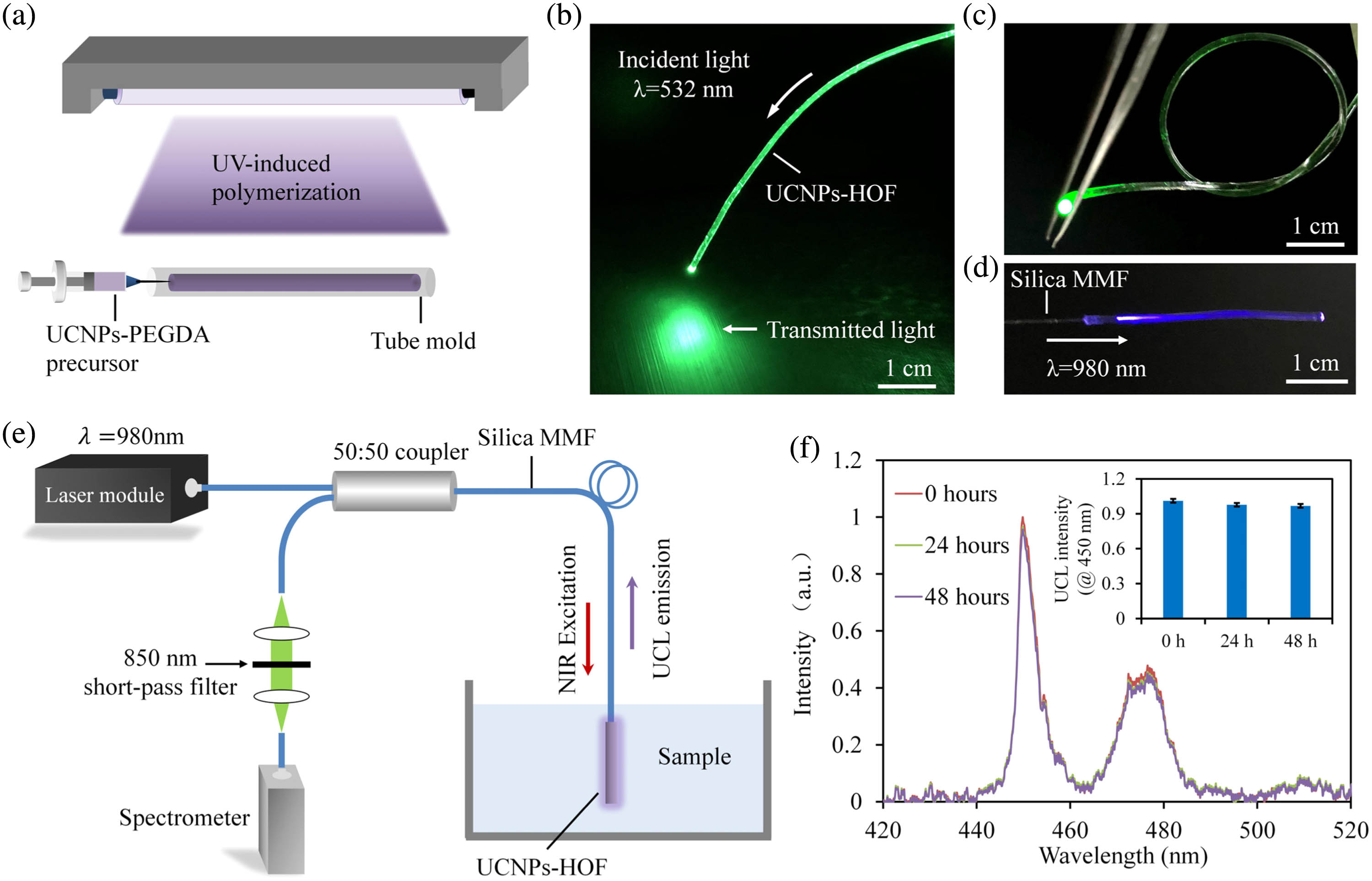 (a) Fabrication of the UCNPs-HOF by molding and UV-induced crosslinking. (b) Coupling of a 532 nm laser to the UCNPs-HOF. (c) Mechanical flexibility. The UCNPs-HOF can effectively guide light even when tied into a knot. (d) Photograph showing blue UCL emission of the UCNPs-HOF under the illumination of an excitation laser at 980 nm. (e) Optical setup for interrogation of the sensing UCNPs-HOF. (f) Long-term stability.