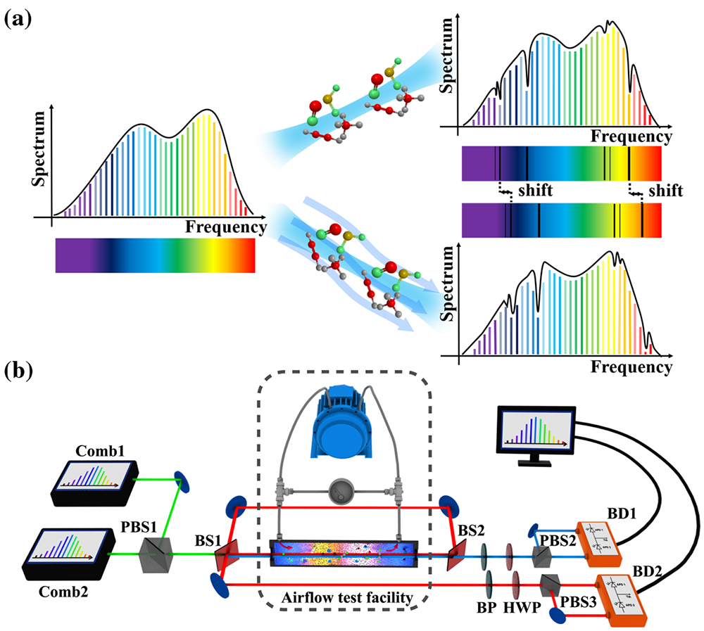 Schematic and experimental layout for the gas flow velocity measurements based on DCAS. (a) Multiple absorption lines experience Doppler shifts in the line-center frequency. DCAS enables the extraction of the precise position of each absorption line center, and the flow velocity can be derived from frequency shifts of multiple absorption lines. (b) The outputs of two combs are combined and split into two subbeams for the counterpropagating arrangement. The airflow is produced in the test facility by a commercially vacuum pump. PBS, polarization beam splitter; BS, beam splitter; BP, bandpass filter; HWP, half-wave plate; BD, balanced detector.