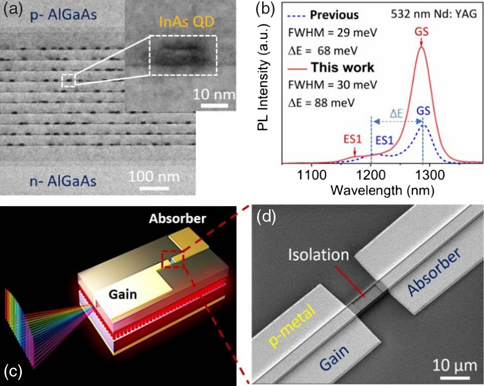 (a) Cross-sectional TEM image of the active region. The inset shows the high-resolution bright-field scanning TEM image of a single dot. (b) Comparison of the room temperature PL spectra for samples grown under previous conditions and the optimized growth conditions employed in this work. (c) Schematic of the passive two-section MLL. (d) SEM image of the device showing the gap between the gain and SA.