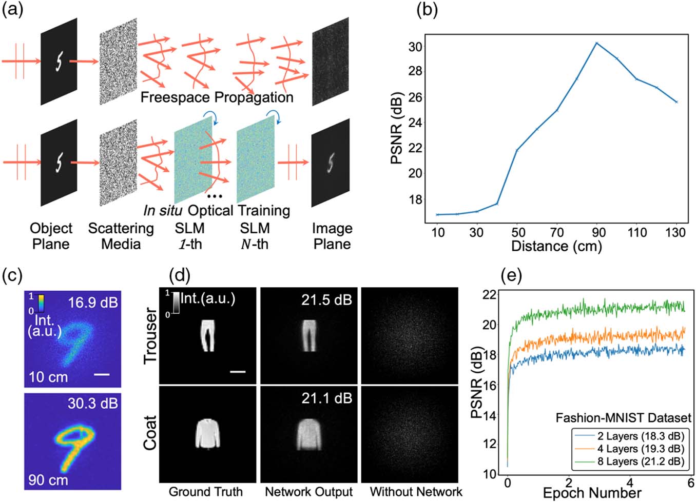 Instantaneous imaging through scattering media with in situ optical training of the diffractive ONN. (a) The wavefront of the object is distorted by the scattering media and generates the speckle pattern on the detector under freespace propagation (top row). The diffractive ONN is in situ optically trained to take the distorted optical field as an input and perform the instantaneous de-scattering for object reconstruction (bottom row). (b) The MNIST dataset is used to train a two-layer diffractive ONN. The performance of the trained model is evaluated by calculating the peak signal-to-noise ratio (PSNR) of the de-scattering results on the testing dataset, which increases with the reasonably increasing layer distance. (c) The network de-scattering result on the handwritten digit “9” from the MNIST testing dataset shows PNSRs of 16.9 dB and 30.3 dB at layer distances of 10 cm and 90 cm, respectively. (d) An eight-layer diffractive ONN trained with the Fashion-MNIST dataset successfully reconstructs the objects of “Trouser” and “Coat” (images of the testing dataset) from their distorted optical wavefront. (e) Convergence plots of the two-, four-, and eight-layer diffractive ONN trained with the Fashion-MNIST dataset, which achieves PSNRs of 18.3 dB, 19.3 dB, and 21.2 dB on the testing dataset, respectively. Scale bar: 1 mm.