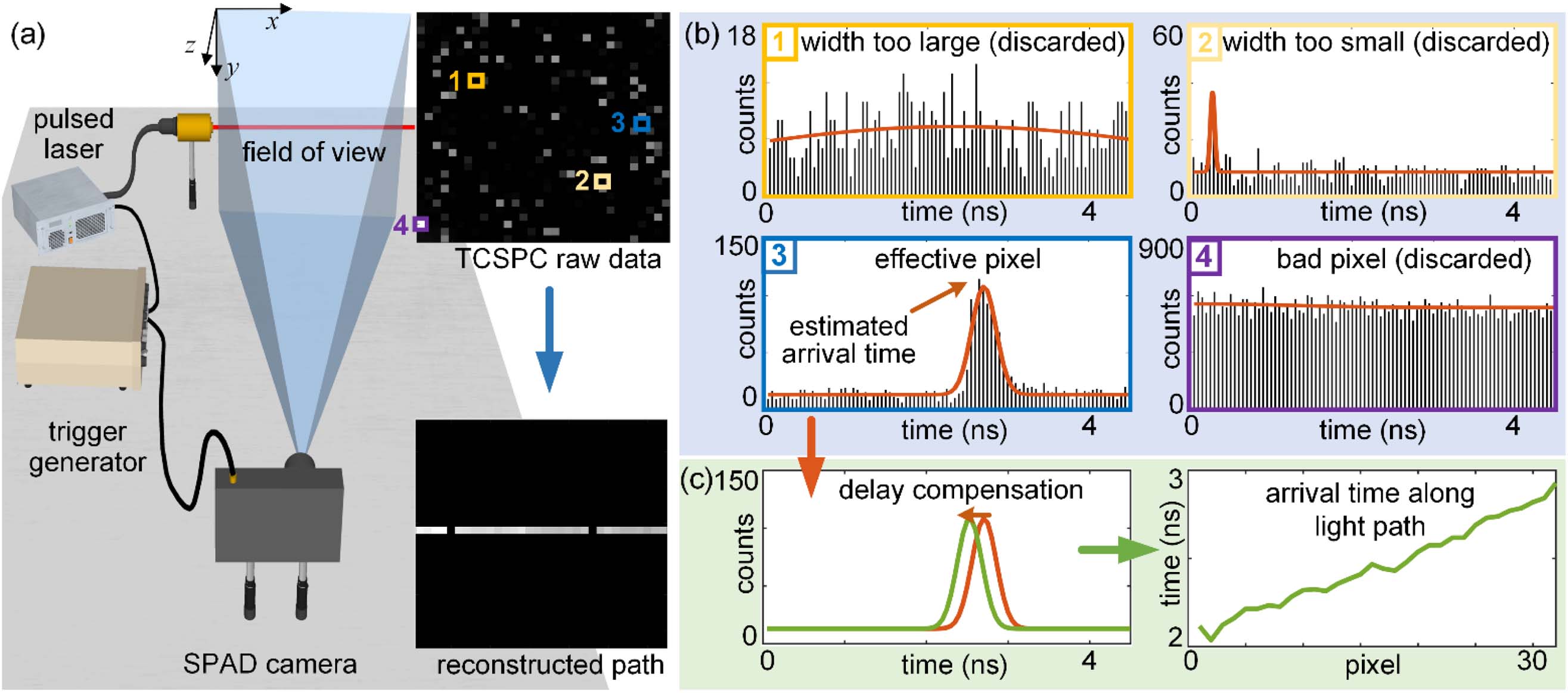 Experimental system for light-in-flight measurement and data processing. (a) In the experiment, the pulsed laser and the SPAD camera are synchronized via a trigger generator. Placed at z=0 mm, a 636 nm pulsed laser emits pulses across the field of view of the SPAD camera. The SPAD camera, with a lens of 3.5 mm focal length, is located at z=535 mm. The object focal plane of the camera is the x–y plane at z=0 mm, having a field of view of 245 mm×245 mm. The SPAD camera collects the scattered photons from the propagating laser pulses and records a histogram at each pixel using TCSPC mode. (b) The raw data of the histograms is fitted with a Gaussian distribution. Histograms with widths too large or too small are discarded (pixels 1 and 2). Malfunctioning pixels with abnormally large counts are also discarded (pixel 4), leaving only effective pixels (pixel 3). (c) The arrival time of the scattered photons ta in the effective pixels is determined as the peak position of the fitted Gaussian distribution, and a pixel versus arrival time can be obtained. Consequently, the projection of the light path on the x–y plane, as well as the arrival times along the path is obtained, forming the (x, y, ta) three-dimensional data of light-in-flight.