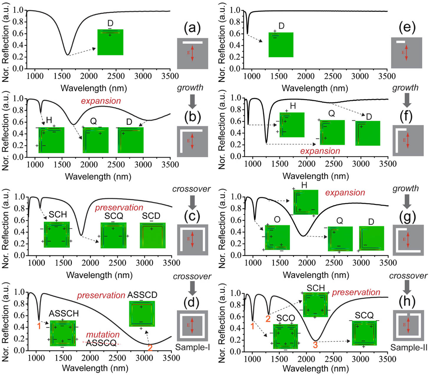 Mode analysis based on PEMs for (a)–(d) Sample I and (e)–(h) Sample II. D, dipole-like; Q, quadrupole-like; H, hexapole-like; O, octopole-like charge distributions; SCD/SCQ/SCH/SCO, symmetrically coupled dipole-like/quadrupole-like/hexapole-like/octopole-like charge distributions; ASSCD/ASSCQ/ASSCH, antisymmetrically coupled SCD/SCQ/SCH modes.
