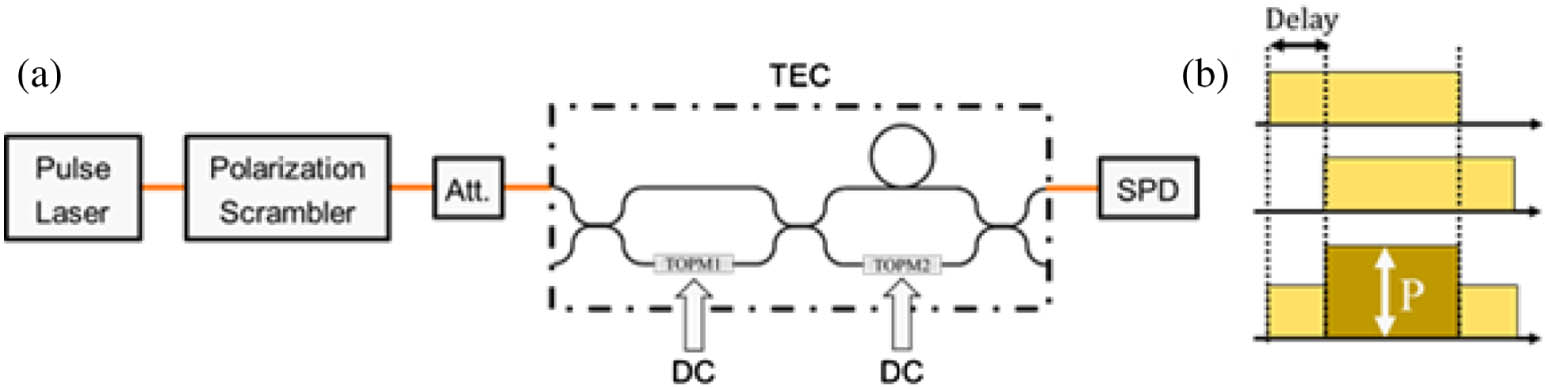 (a) Experimental setup to investigate the polarization characteristics of a 740 ps delay AMZI chip at the single-photon level. Att., variable optical attenuator; DC, direct current voltage drive; TEC, temperature controller. (b) Graph illustrating the pulse self-interfering method.
