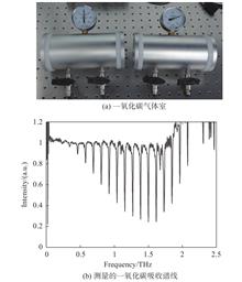 Carbon monoxide gas chamber and measured characteristic absorption spectrum line