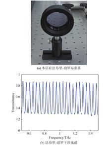 Self-fabricated Fabry-Perot etalon and measured interference spectrum