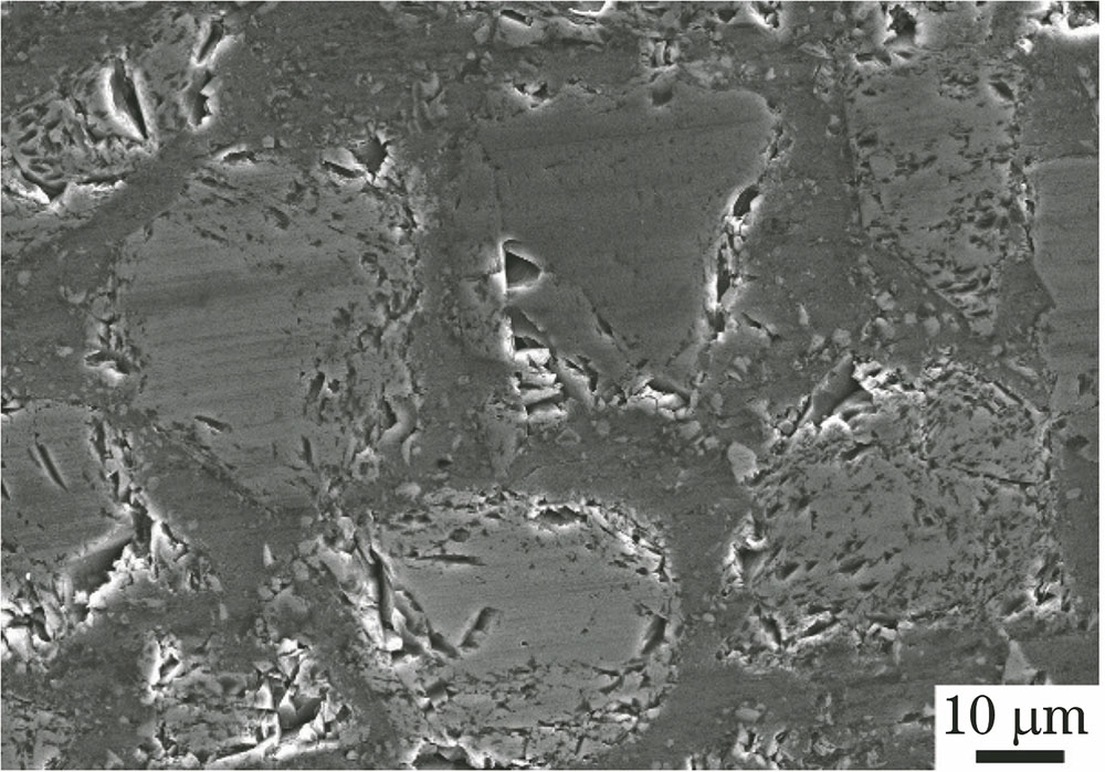 SiCp/AA2024复合材料母材显微组织